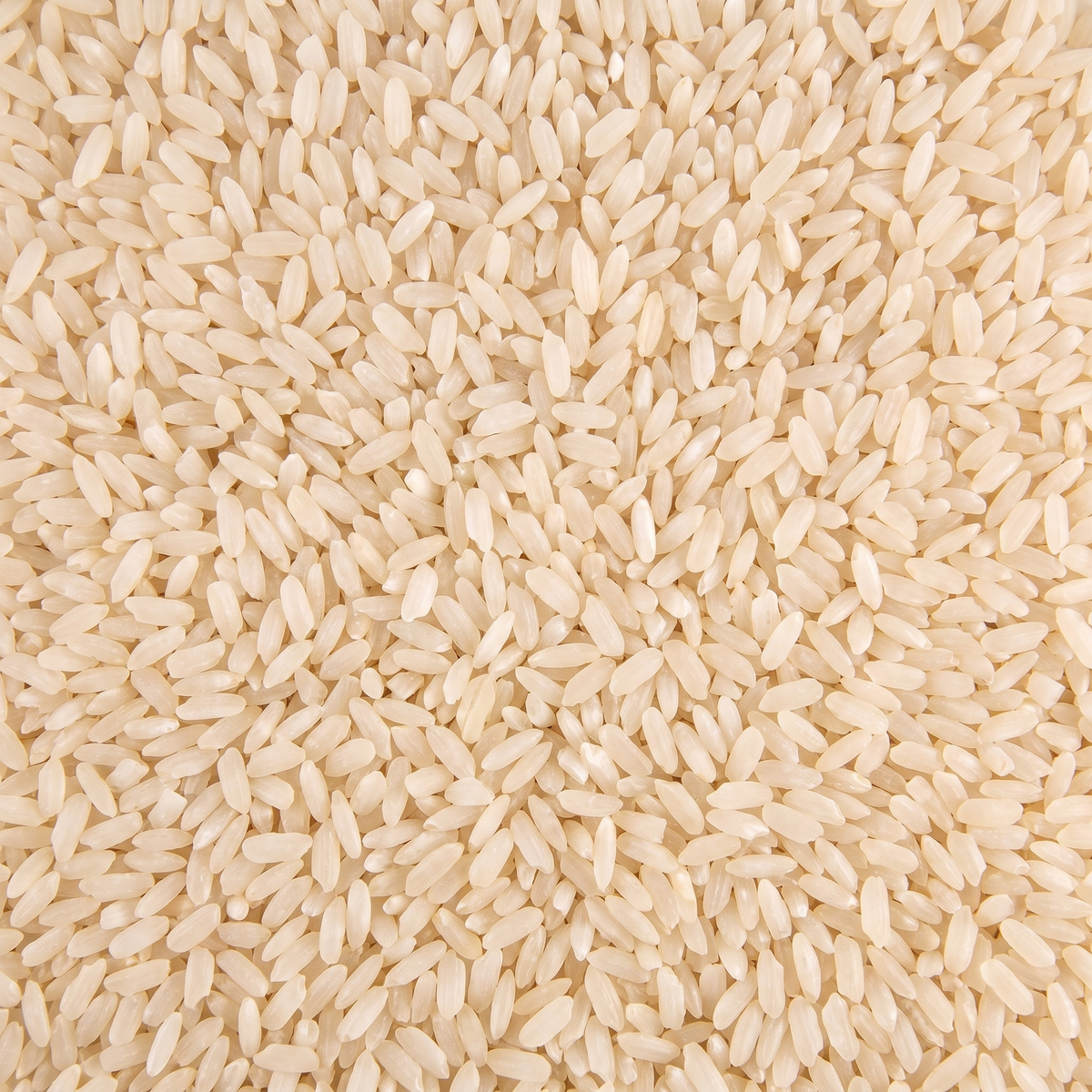 Arroz