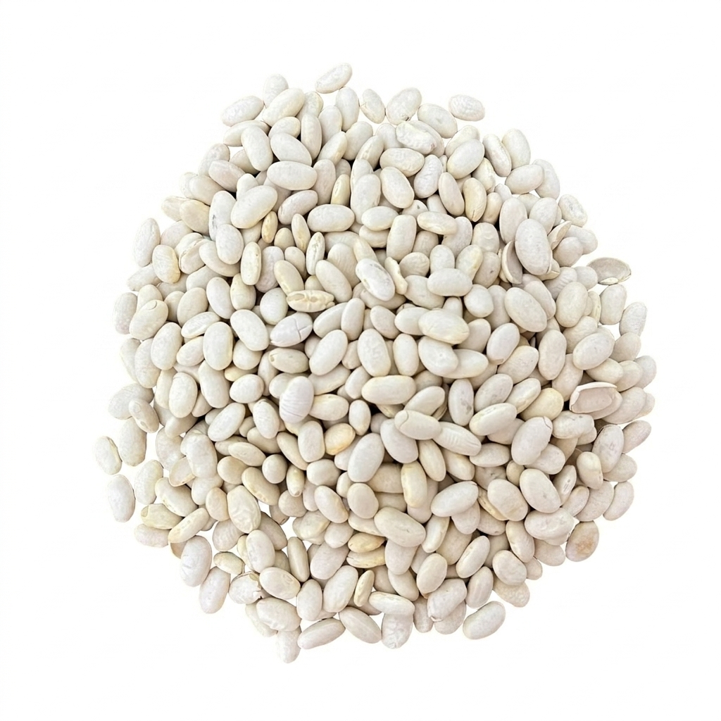 Peruano Blanco Vaca Frijol