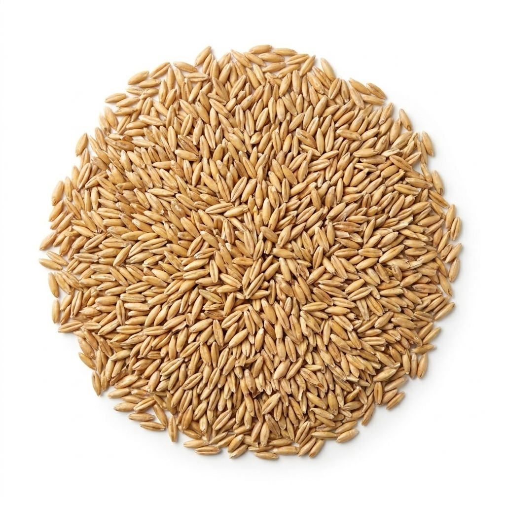 Avena para pájaro a granel — venta al mayoreo