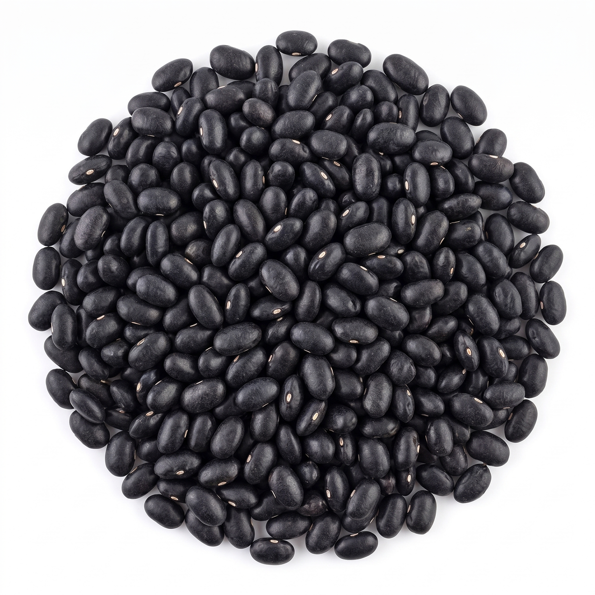 Frijol negro Michigan a granel — venta por kilo al mayoreo