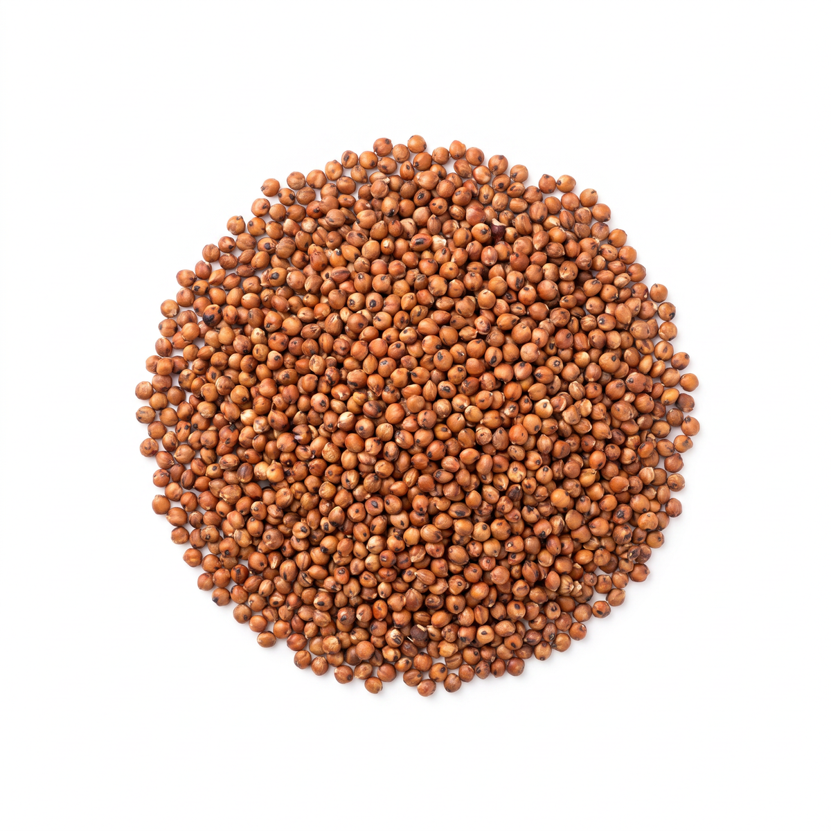 Milo en grano a granel — venta al mayoreo