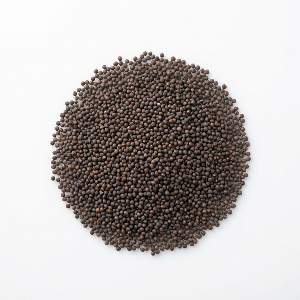 Semilla de canola a granel — venta al mayoreo
