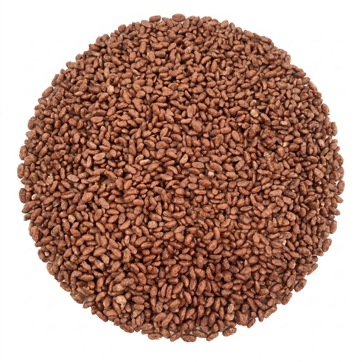 Choco Kong Michel 5 kg — venta al mayoreo